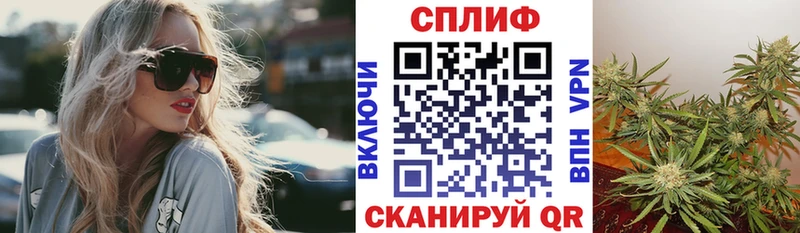купить наркоту  Болхов  Марихуана SATIVA & INDICA 